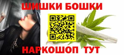 apvp Кингисепп