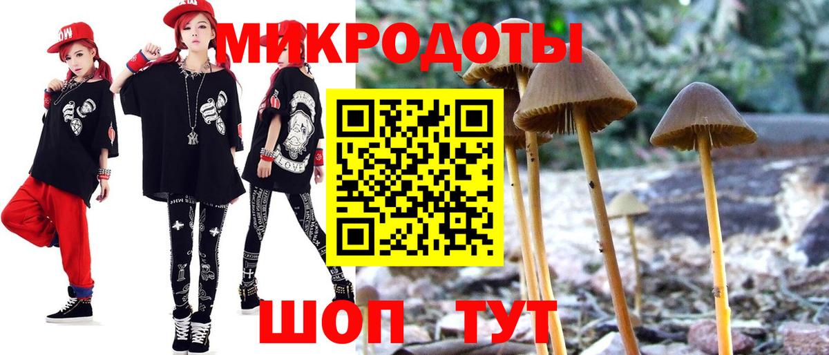 Галлюциногенные грибы прущие грибы  где купить наркоту  Галлюциногенные грибы Psilocybe  Бузулук  Вход с VPN 