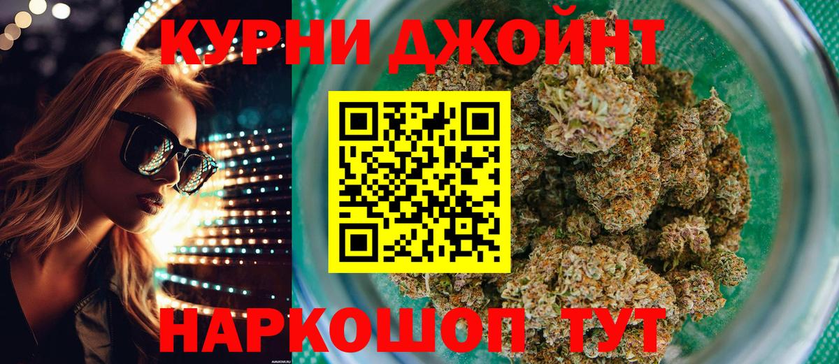 Бошки Шишки планчик Бузулук